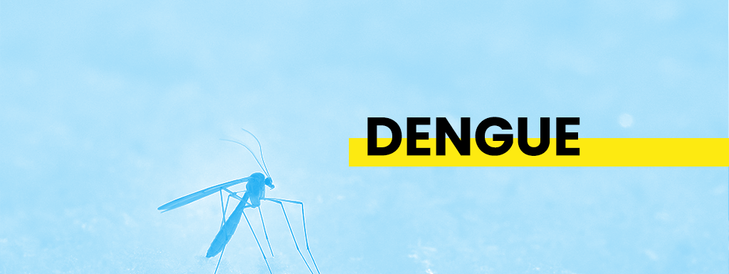 Dengue UnVeterinario