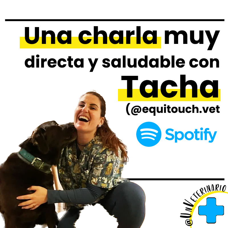 Tacha